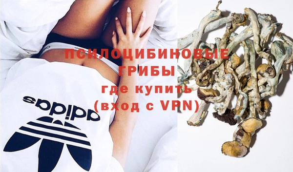 винт Вяземский